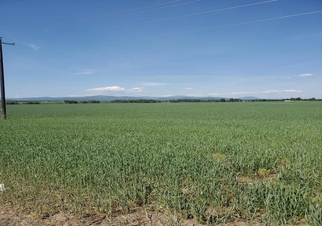 2nd image of 34xxx N Hwy 395 Hwy, Deer Park, WA 99006 | MLS# 202613609