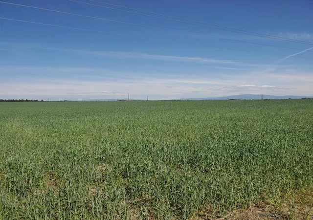 4th image of 34Xxx N Hwy 395 Hwy, Deer Park, WA 99006 | MLS# 202613609