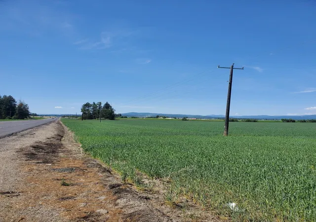 5th image of 34xxx N Hwy 395 Hwy, Deer Park, WA 99006 | MLS# 202613609