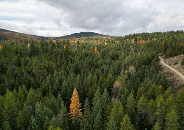 Land for sale at Tbd Schlegel Ranch Rd, Ione, WA 99139-0000 | MLS# 202613663