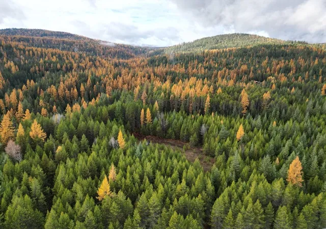 Photo 3 of Land for sale at Tbd Schlegel Ranch Rd, Ione, WA 99139 | MLS# 202613663 | Listing updated on 2026-09-16