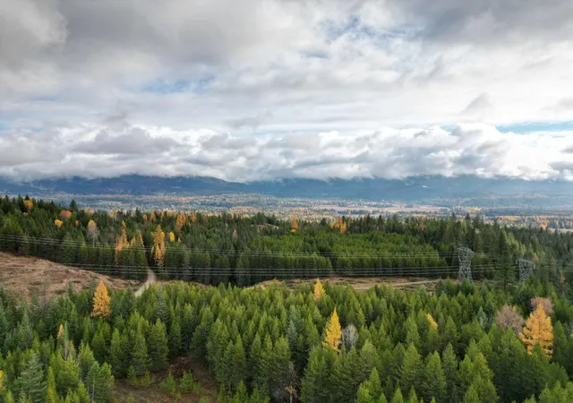 Photo 3 of Land for sale at Tbd Schlegel Ranch Rd, Ione, WA 99139 | MLS# 202613663 | Listing updated on 2026-09-16