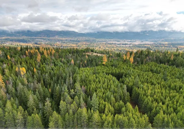 Photo 4 of Land for sale at Tbd Schlegel Ranch Rd, Ione, WA 99139 | MLS# 202613663 | Listing updated on 2026-09-16