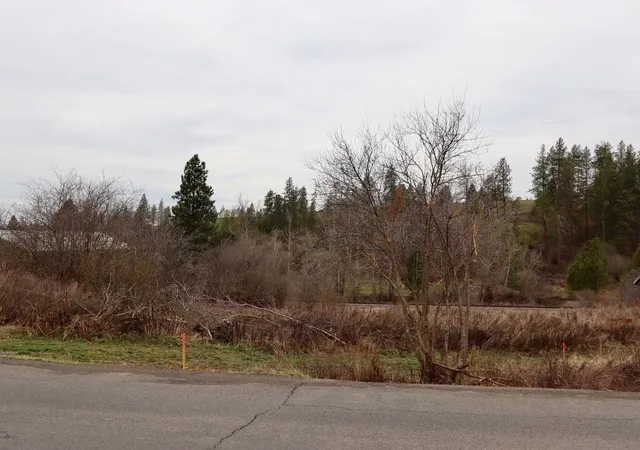 Homes for sale in Rockford, WA | 427 Ne Stringham Rd, Rockford, WA 99030 | MLS# 202613883