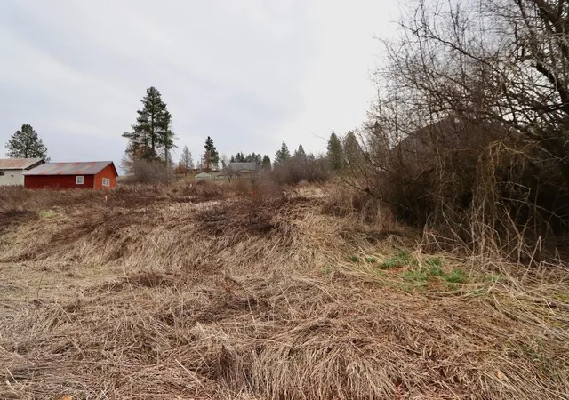 Homes for sale in Rockford, WA | 427 Ne Stringham Rd, Rockford, WA 99030 | MLS# 202613883