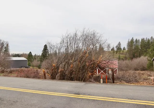 Homes for sale in Rockford, WA | 429 Ne Stringham Rd, Rockford, WA 99030 | MLS# 202613884