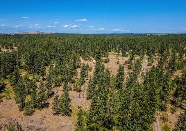 5th image of 27816 W Drumheller Rd, Cheney, WA 99004 | MLS# 202613960