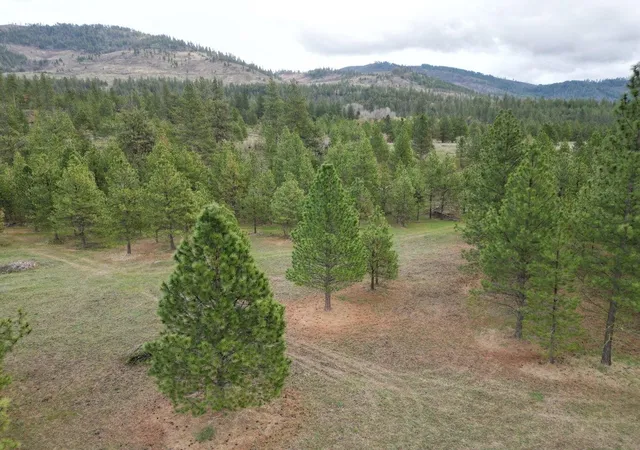 Photo 4 of Land for sale at 5xxx Newbill Rd, Fruitland, WA | MLS# 202613978 | Listing updated on 2026-07-30