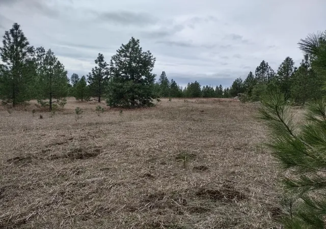 Homes for sale in Springdale, WA | Xx Lyons Hill Rd, Springdale, WA 99173 | MLS# 202614020