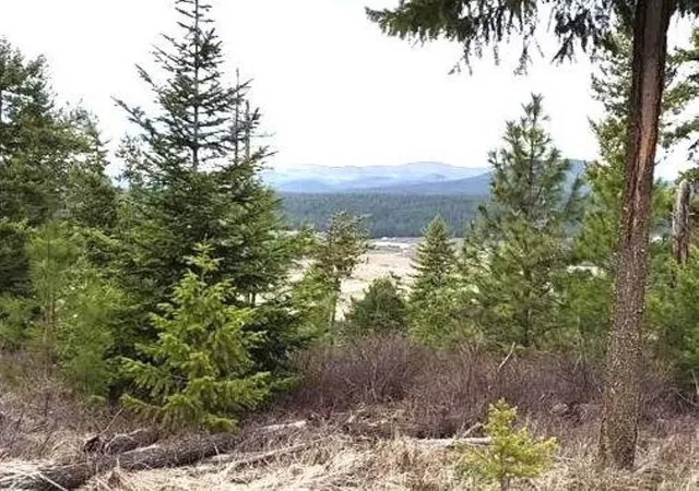 Photo 2 of Land for sale at Xx Lyons Hl Rd, Springdale, WA 99173 | MLS# 202614020 | Listing updated on 2026-10-14