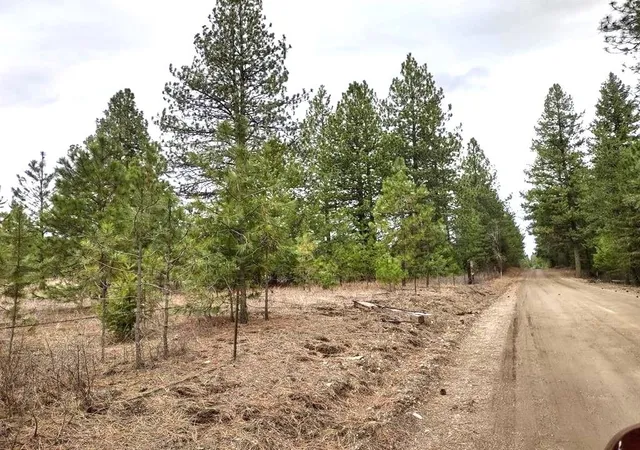 Photo 3 of Land for sale at Xx Lyons Hl Rd, Springdale, WA 99173 | MLS# 202614020 | Listing updated on 2026-10-14