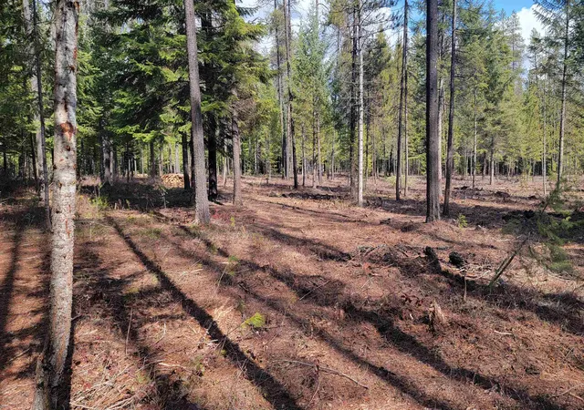 3rd image of Nkn Spring Valley Rd, Newport, WA 99156 | MLS# 202614034