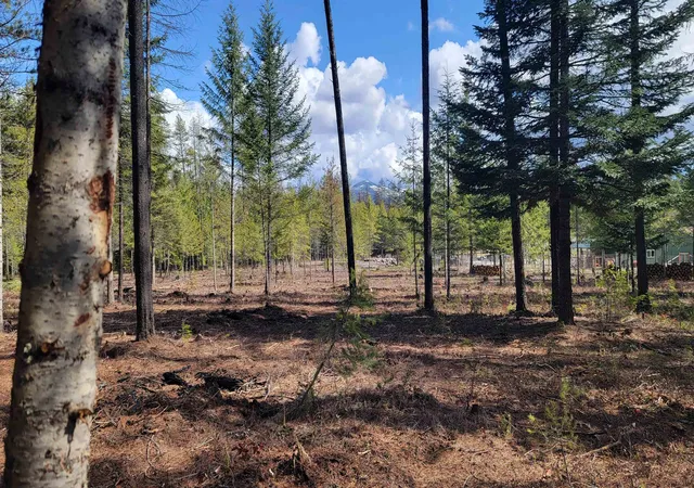 Photo 3 of Land for sale at Nkn Spring Valley Rd, Newport, WA 99156 | MLS# 202614034 | Listing updated on 2026-10-07