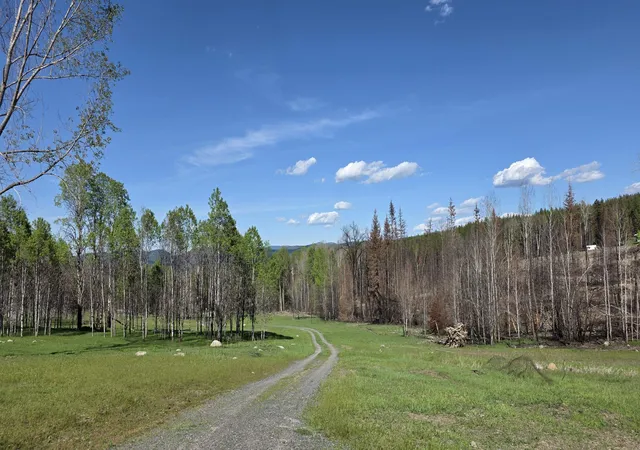 11th image of 2433 B Widow Rd, Colville, WA 99114 | MLS# 202614168