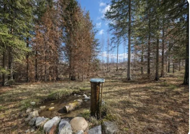 2nd image of 2433 B Widow Rd, Colville, WA 99114 | MLS# 202614168