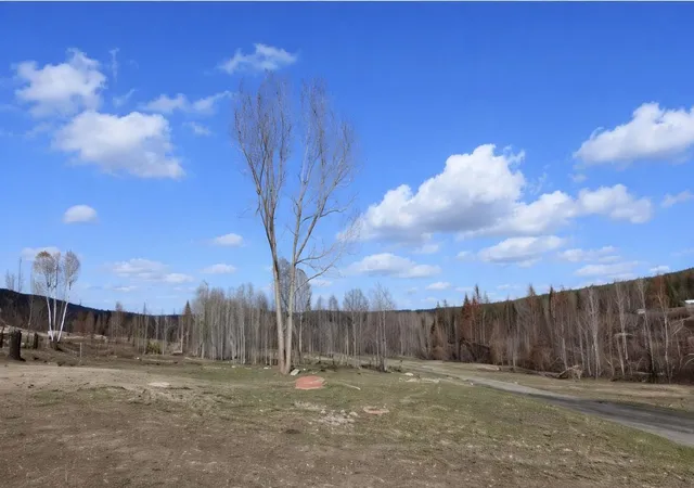 Photo 3 of Land for sale at 2433 B Widow Rd, Colville, WA 99114 | MLS# 202614168 | Listing updated on 2026-08-14