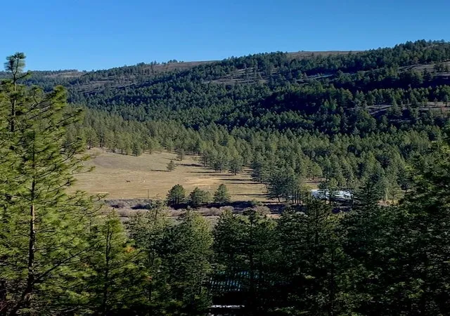 Homes for sale in Davenport, WA | Lot 2 Scenic Short Plat Dr, Davenport, WA 99122 | MLS# 202614239