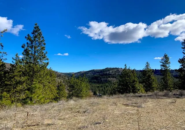Homes for sale in Davenport, WA | Lot 2 Scenic Short Plat Dr, Davenport, WA 99122 | MLS# 202614239