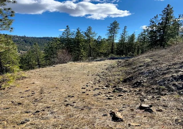 Homes for sale in Davenport, WA | Lot 2 Scenic Short Plat Dr, Davenport, WA 99122 | MLS# 202614239