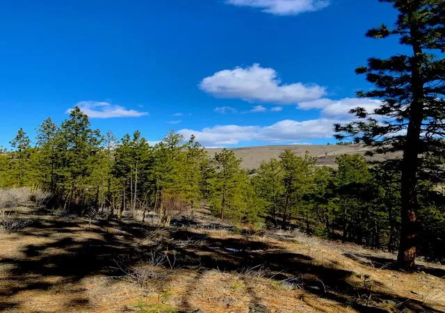 Homes for sale in Davenport, WA | Lot 2 Scenic Short Plat Dr, Davenport, WA 99122 | MLS# 202614239
