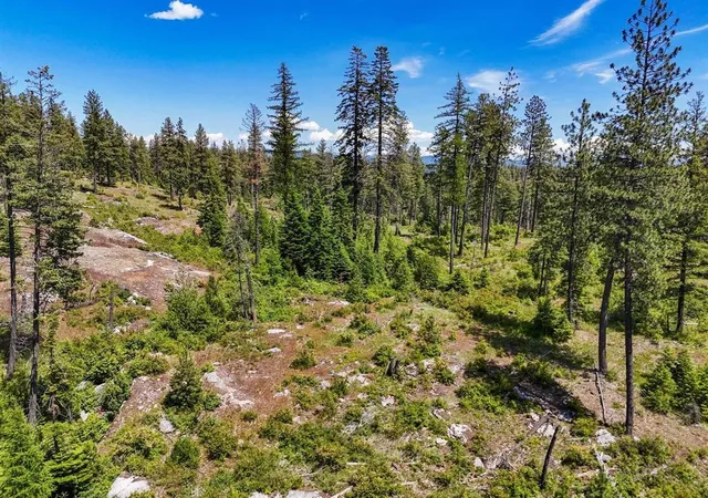 3rd image of 54Xx Northshore Diamond Lake Rd Rd, Newport, WA 99156 | MLS# 202614253