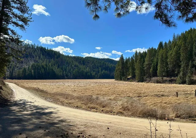 Homes for sale in Loon Lake, WA | 4149 North Deer Lake Rd Rd, Loon Lake, WA 99148 | MLS# 202614289
