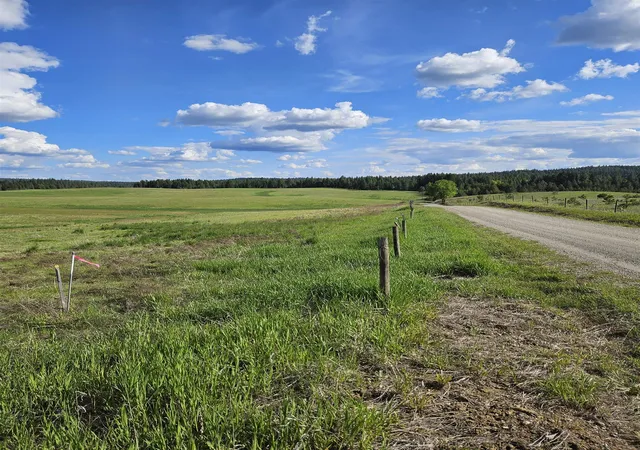 Homes for sale in Springdale, WA | 52xx Wagner Lot G Rd, Springdale, WA 99173 | MLS# 202614320
