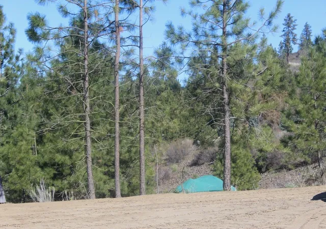 Photo 3 of Land for sale at 39555 N Peach Orchard Way, Davenport, WA 99122 | MLS# 202614361 | Listing updated on 2026-07-03