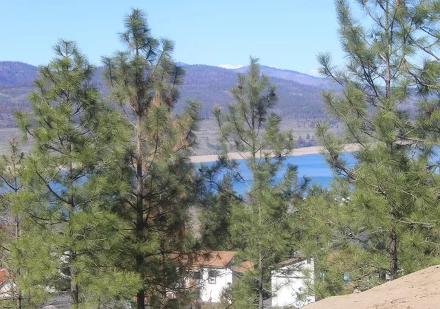 Photo 4 of Land for sale at 39555 N Peach Orchard Way, Davenport, WA 99122 | MLS# 202614361 | Listing updated on 2026-07-03