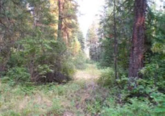 Homes for sale in Kettle Falls, WA | 3121 Fifteen Mile Creek Rd Rd, Kettle Falls, WA 99141 | MLS# 202614368
