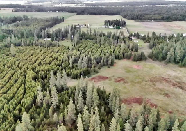 21st image of Xxxx W Mason Rd, Deer Park, WA 99006 | MLS# 202614581