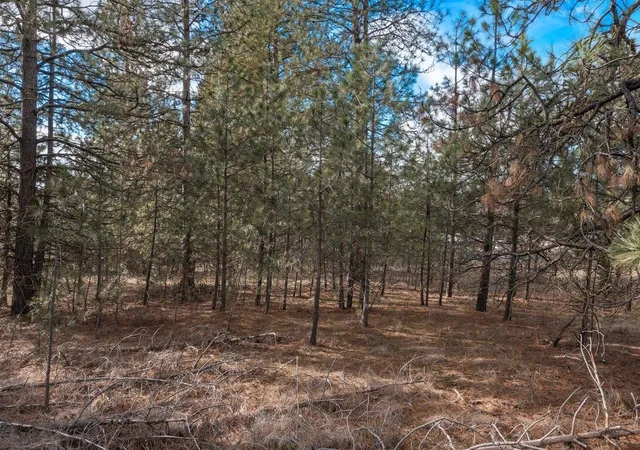14th image of Xxx N Boston Rd, Colbert, WA 99005 | MLS# 202614588