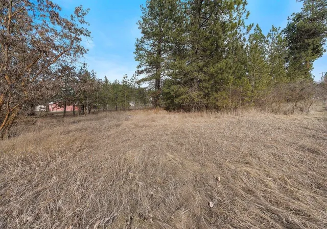 2nd image of Xxx N Boston Rd, Colbert, WA 99005 | MLS# 202614588