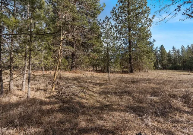 Photo 3 of Land for sale at Xxx N Boston Rd, Colbert, WA 99005 | MLS# 202614588 | Listing updated on 2026-04-08