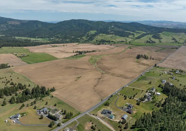 4th image of 00Xxx S Jackson Rd, Lot 23, Mica, WA 99023 | MLS# 202614623
