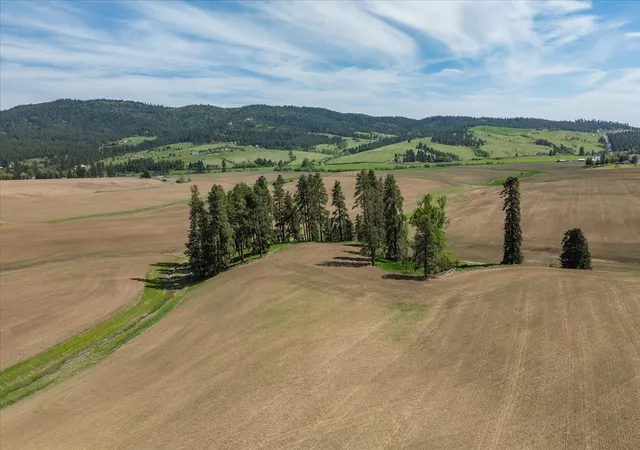 5th image of 00Xxx S Jackson Rd, Lot 23, Mica, WA 99023 | MLS# 202614623