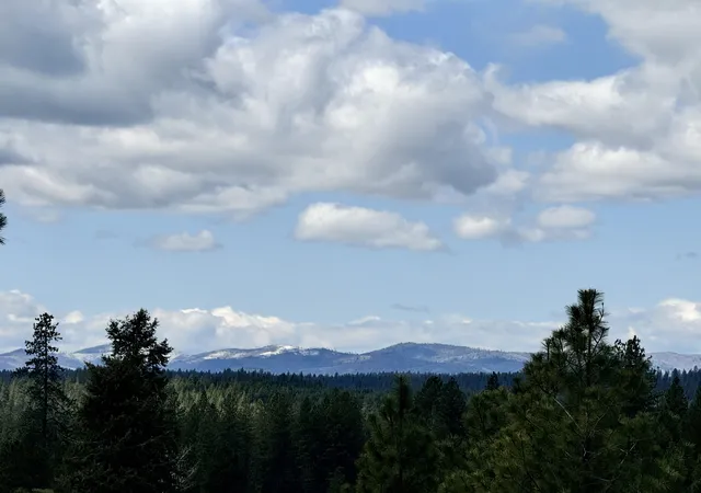 Homes for sale in Springdale, WA | Xx W Webb Ave, Springdale, WA 99173 | MLS# 202614691