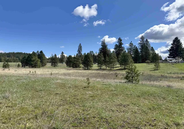 Homes for sale in Springdale, WA | Xx W Webb Ave, Springdale, WA 99173 | MLS# 202614691