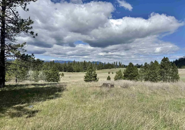 Homes for sale in Springdale, WA | Xx W Webb Ave, Springdale, WA 99173 | MLS# 202614691