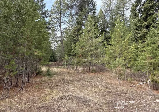 Homes for sale in Springdale, WA | 4828 Eagle Ridge Wy, Springdale, WA 99173 | MLS# 202614827