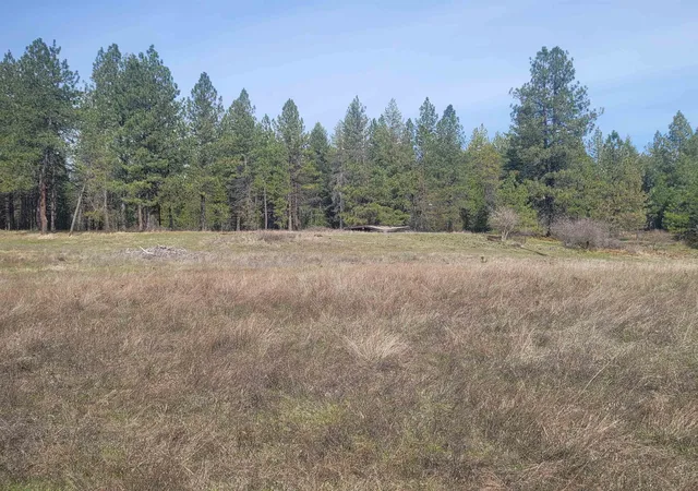 Homes for sale in Springdale, WA | 4528 Stonebrook Wy, Springdale, WA 99173 | MLS# 202614855