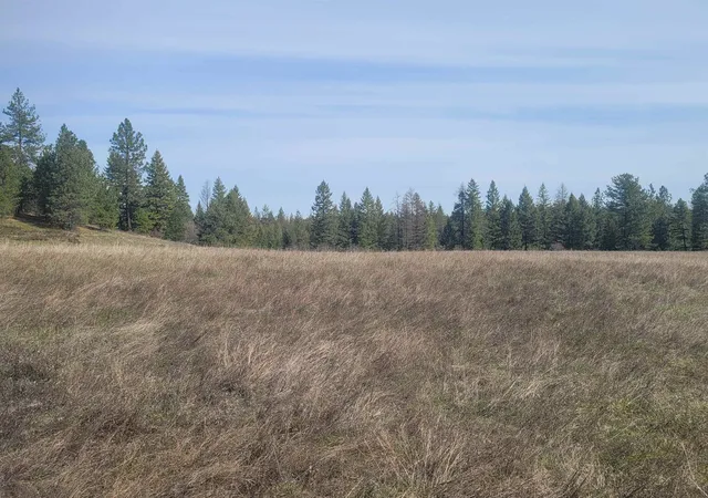 Homes for sale in Springdale, WA | 4528 Stonebrook Wy, Springdale, WA 99173 | MLS# 202614855