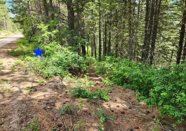 Photo 1 of Land for sale at Nna Buck Crk Rd, Loon Lake, WA 99148 | MLS# 202614919 | Listing updated on 2026-09-07