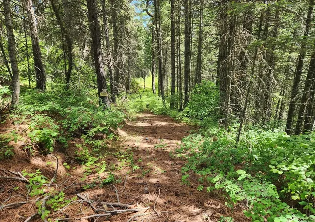 Photo 2 of Land for sale at Nna Buck Crk Rd, Loon Lake, WA 99148 | MLS# 202614919 | Listing updated on 2026-09-07