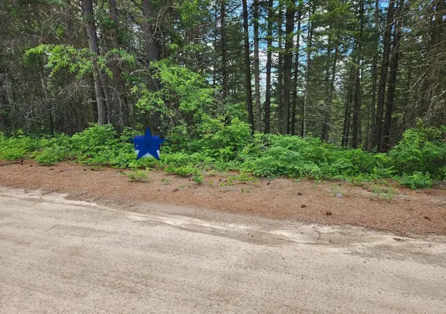 Photo 3 of Land for sale at Nna Buck Crk Rd, Loon Lake, WA 99148 | MLS# 202614919 | Listing updated on 2026-09-07