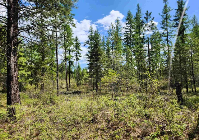 Photo 1 of Land for sale at 3669 E Jump Off Joe Rd, Valley, WA 99181 | MLS# 202614926 | Listing updated on 2026-04-16