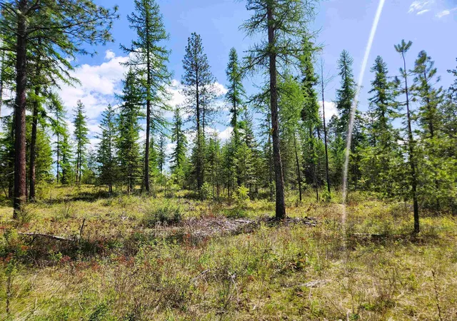 Photo 2 of Land for sale at 3669 E Jump Off Joe Rd, Valley, WA 99181 | MLS# 202614926 | Listing updated on 2026-04-16