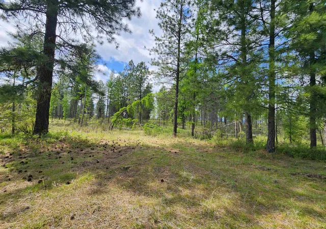 Photo 3 of Land for sale at 3669 E Jump Off Joe Rd, Valley, WA 99181 | MLS# 202614926 | Listing updated on 2026-04-16