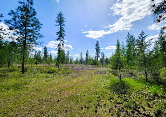 Photo 3 of Land for sale at 3669 E Jump Off Joe Rd, Valley, WA 99181 | MLS# 202614926 | Listing updated on 2026-04-16