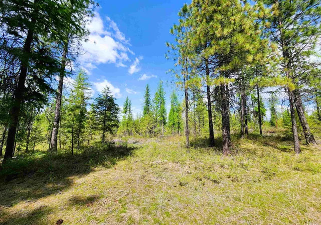 Photo 4 of Land for sale at 3669 E Jump Off Joe Rd, Valley, WA 99181 | MLS# 202614926 | Listing updated on 2026-04-16
